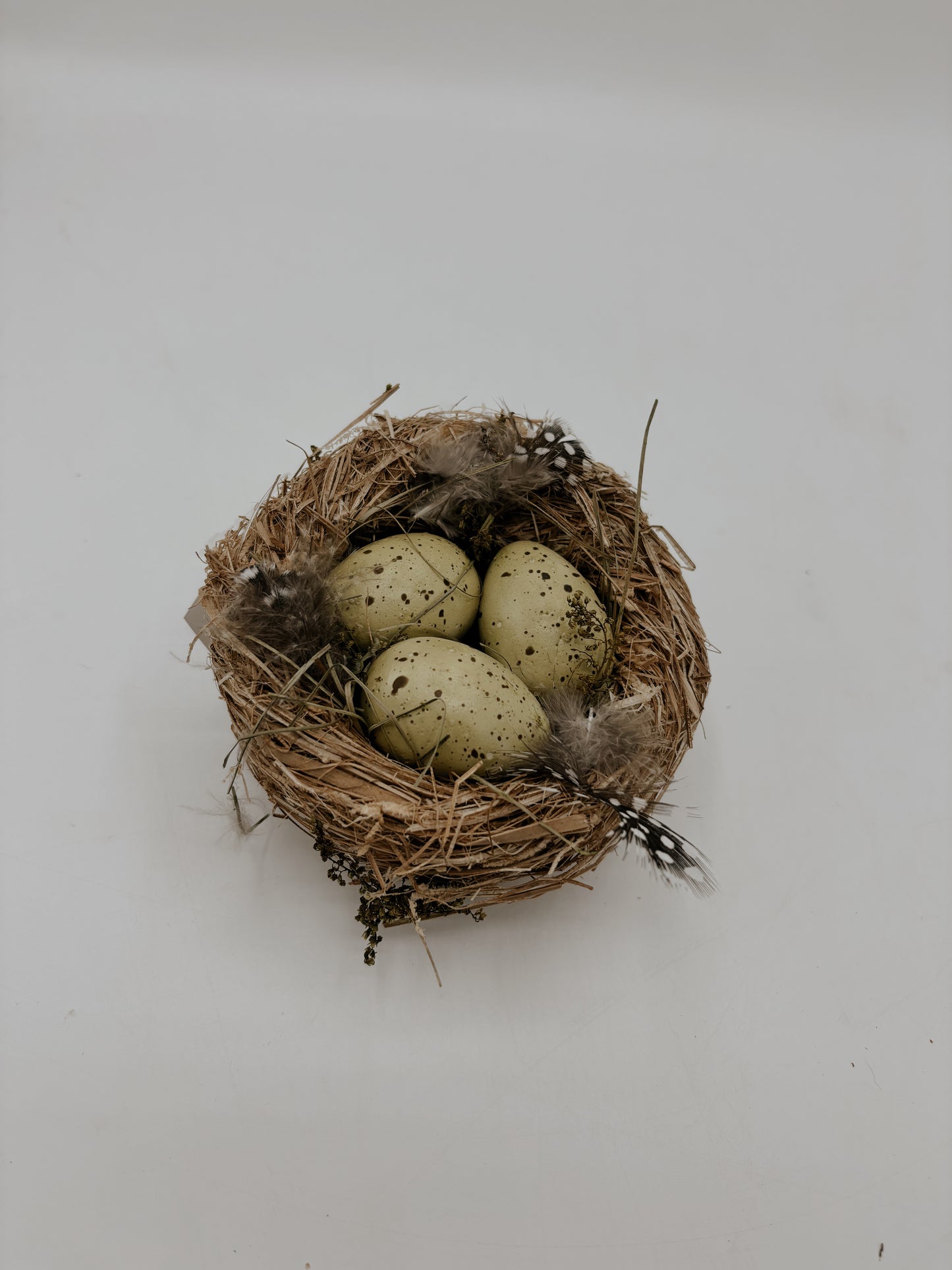 Birds Nest with Eggs