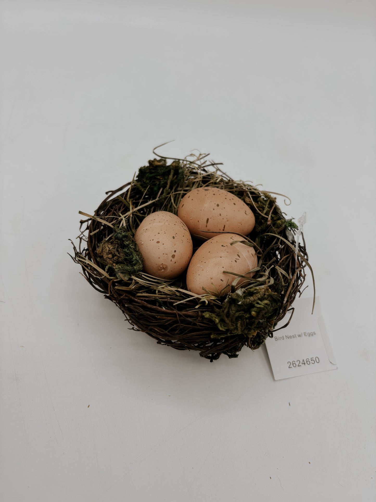 Birds Nest with Eggs