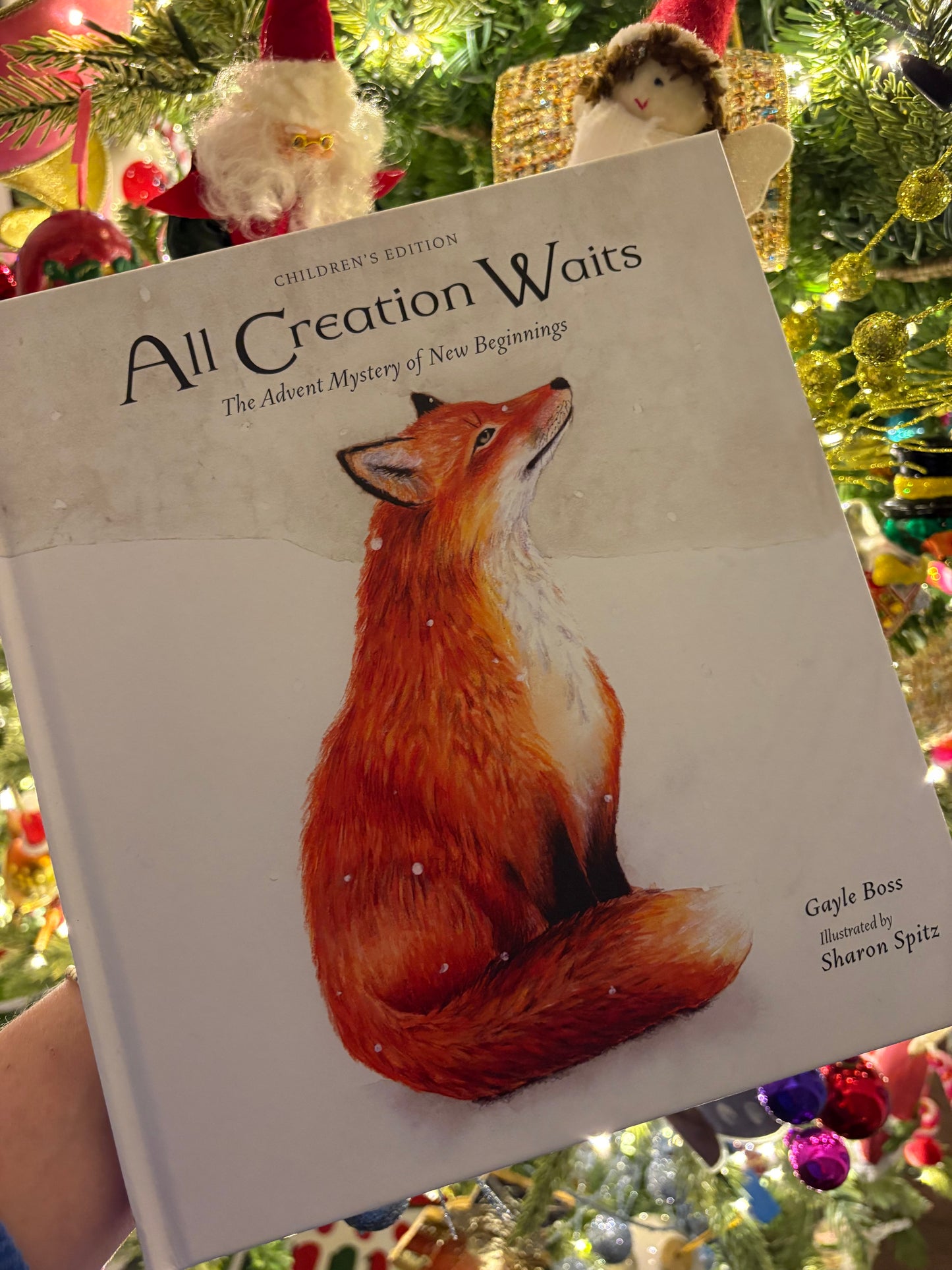 All Creation Waits