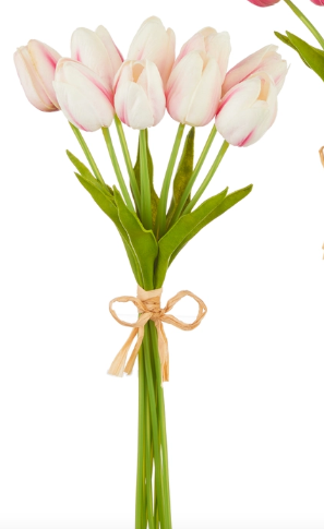 Real Tulip Bundle