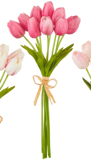 Real Tulip Bundle