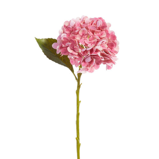 Hydrangea Stem Pink