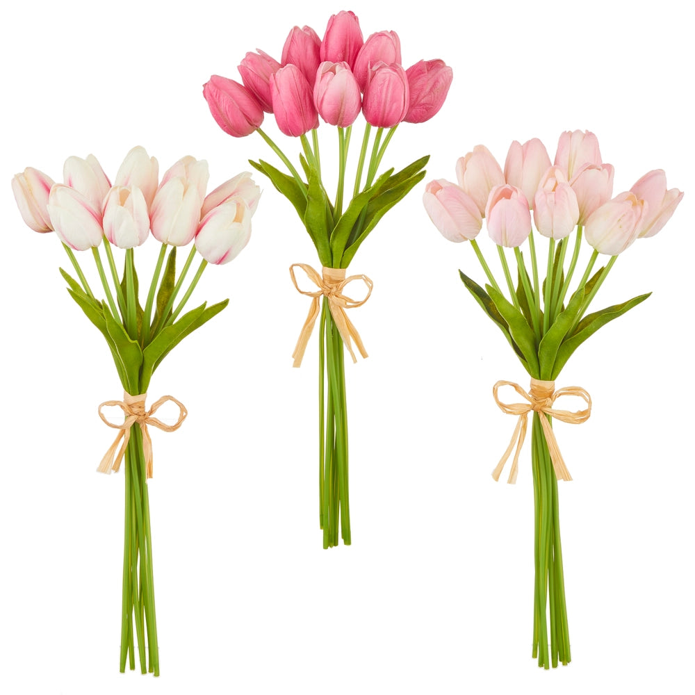 Real Tulip Bundle
